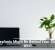 Houseplants Might Be Behind Your Sluggish Wi-Fi
